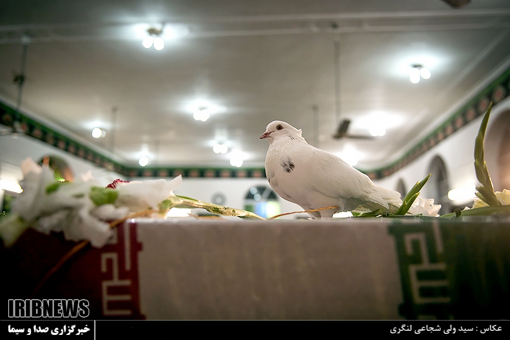 عکس/ تشیع شهید گمنام در ساری