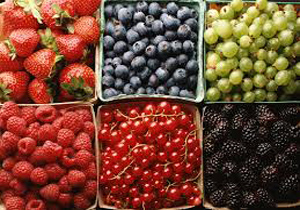 تغذیه/ در علم تغذیه طبقه بندی میوه‌ها بر چه اساسی است؟