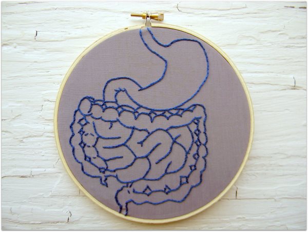 in-fact-your-digestive-tract-alone--including-your-small-and-large-intestine--houses-about-99-of-your-entire-microbiome