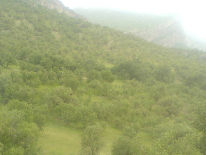 منطقه زیبای گناوه لری (شهرستان گچـساران) 