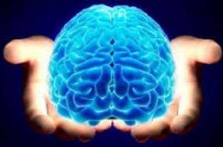 دانش آموزان دوره متوسطه با عملکرد مغز انسان آشنا می شوند