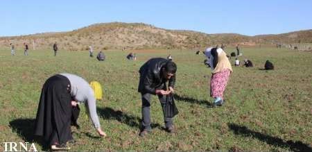 تکه های شهاب سنگ یک روستا در ترکیه را ثروتمند کرد!