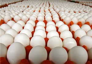 کاهش 400 تومانی قیمت تخم مرغ