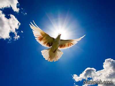 فرشته روح القدس ، روح القدس کیست ، روح القدس در مسیحیت