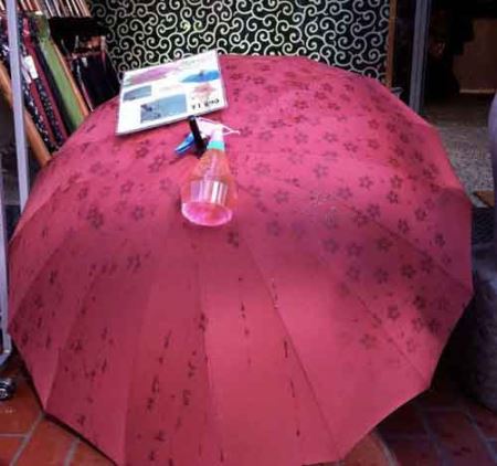 چتری که زیر باران شکوفه می کند! عکس