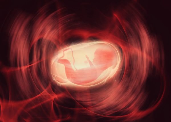 a-developing-fetus-is-almost-completely-sealed-off-from-its-mothers-microbes-in-the-womb-which-could-be-deadly-to-the-fragile-child
