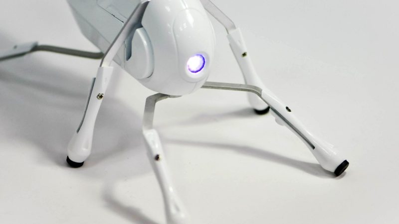 تماشا کنید/ با Antbo آشنا شوید؛ روباتی شبیه به مورچه که خودتان آن را می سازید