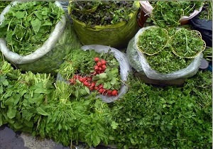 بازار/ قیمت انواع سبزیجات در میادین تره بار