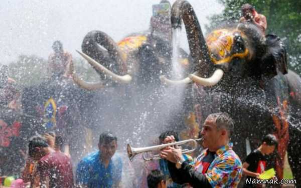آب بازی با فیلها ، تصاویر ، تصویر روز