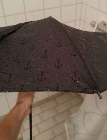 چتری که زیر باران شکوفه می کند! عکس