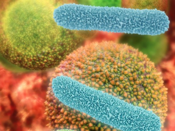 30 حقیقت علمی اعجاب انگیز در مورد میکروب هایی که درون بدن ما زندگی می کنند
