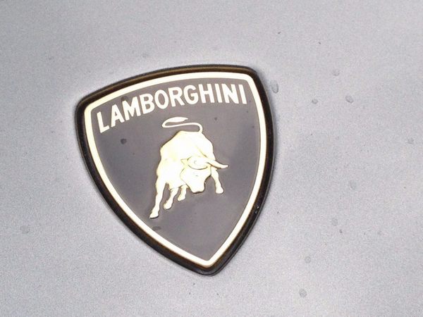a-long-time-fan-of-bull-fighting-and-born-under-the-sign-of-the-taurus-himself-lamborghini-used-the-symbol-of-a-raging-bull-as-the-companys-logo-the-company-would-go-on-to-n