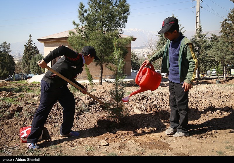 عکس/ کاشت نهال توسط کودکان کار در بوستان سرخه حصار