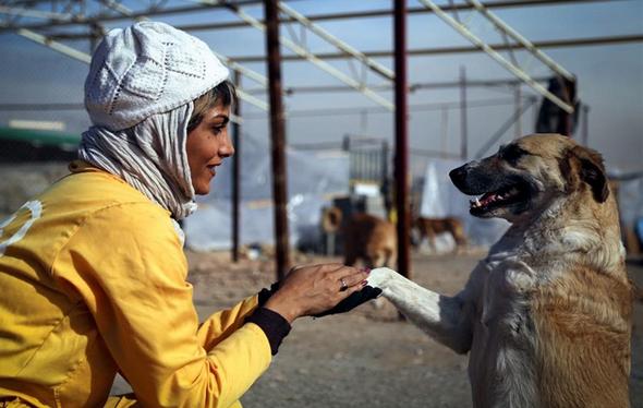 تصاویر : زنان حامی حیوانات بی پناه