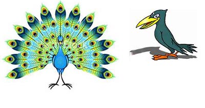 قصه کودکانه/ ماجرای جالب «طاووس و کلاغ»