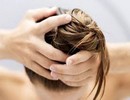 این بار با نسخه های گیاهی موهای چرب تان را درمان کنید!