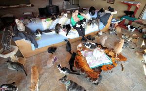 زن 67ساله همخانه 1100 گربه!!