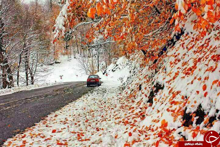 عکس/ تلفیقی زیبا از پاییز و زمستان در جاده