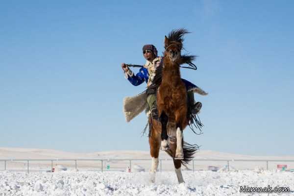 مسابقات اسب سواری ، عکس روزانه ، عکسهای روزانه