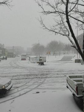 بارش برف در تبریز- بهزاد وجودی