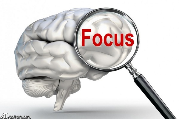 چگونه تمرکز مغزی و حافظه را به طور طبیعی تقویت کنیم؟