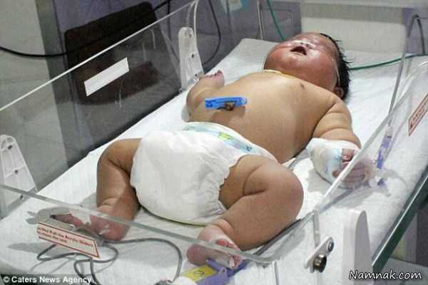 نوزاد غول پیکر ، سنگین وزن ترین نوزاد جهان ، نوزادان سنگین وزن