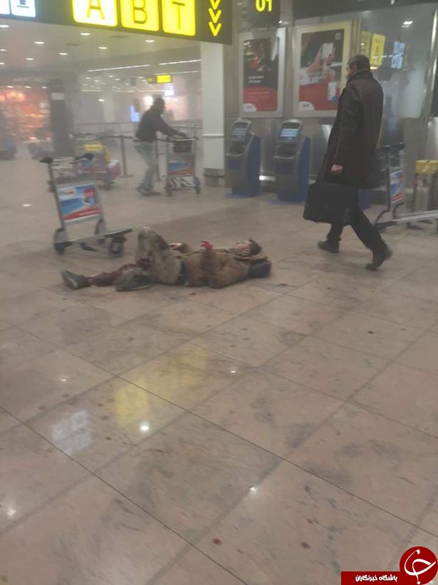 حملات انتحاری در فرودگاه و مترو بروکسل/ 58 کشته و زخمی تا این لحظه + تصاویر و فیلم