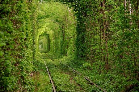 عکس های رویایی از زیباترین تونل های واقعی جهان