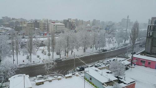 بارش برف در اردبیل- ایرج قوامی