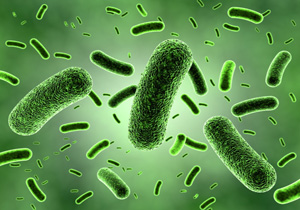 حذف 92 درصد باکتری های مقاوم به دارو به کمک نانو فناوری