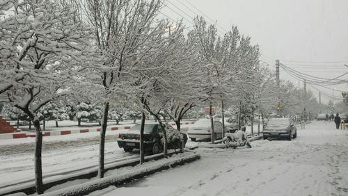 بارش برف در تبریز- امیر قابل نژاد