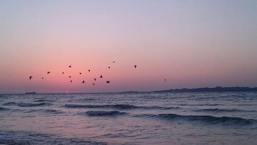 طلوع خورشید - جزیره قشم- محمد شب خیز
