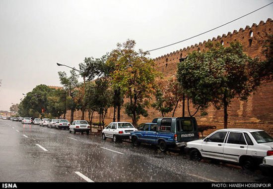 عکس: طبیعت بارانی شیراز
