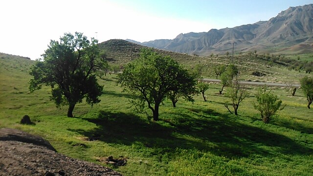 طبیعت زیبای روستای کامه علیا تربت حیدریه 