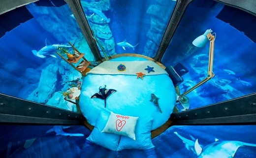 4گوشه دنیا/ ساخت اتاق خواب آبی احاطه شده با ۳۵ گونه کوسه!