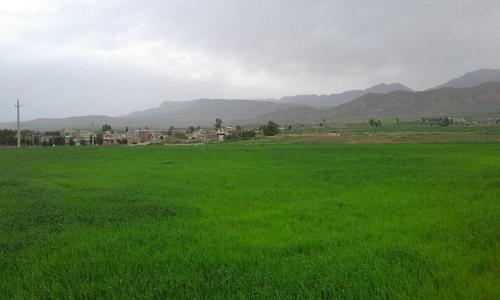 طبیعت روستای ریزوندشهرستان سرپل ذهاب - استان کرمانشاه