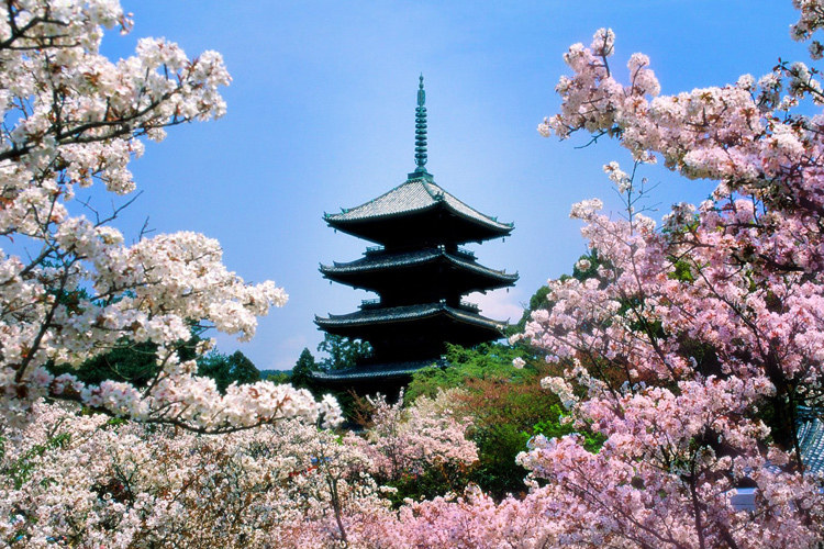 جهان نما/ ۱۷ معبد باشکوه در ژاپن
