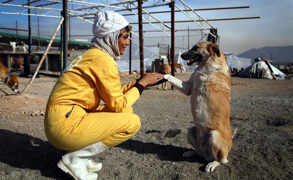 تصاویر : زنان حامی حیوانات بی پناه