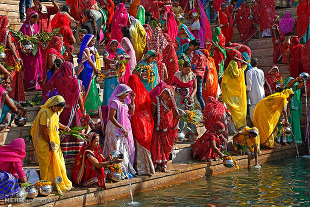 عکس/ زنان هندی درحال جمع آوری آب برای مراسم مذهبی