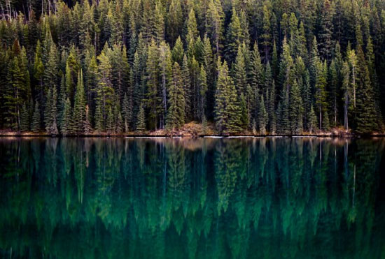 طبیعت کانادا،تصاویر کانادا
