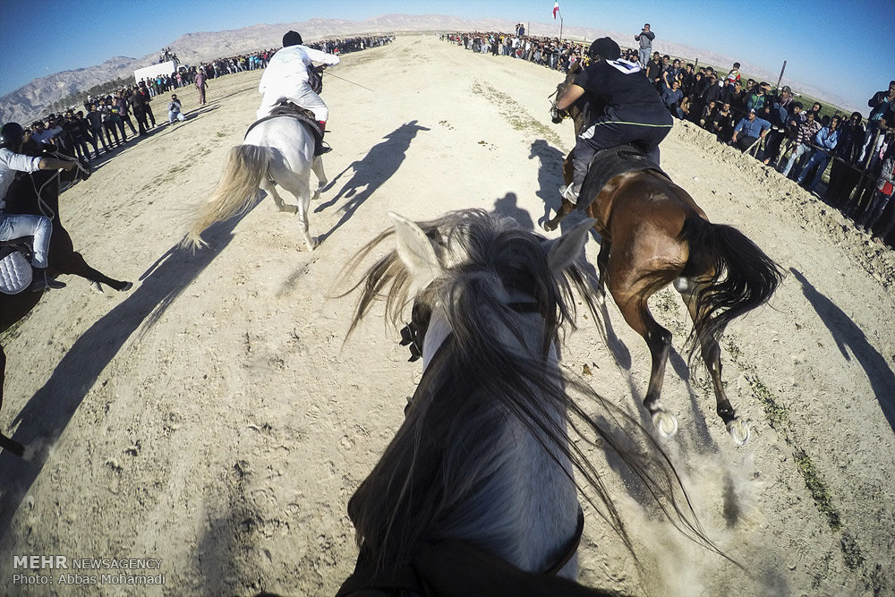 عکس/ مسابقه سوارکاری کورس اسب های بومی و محلی 