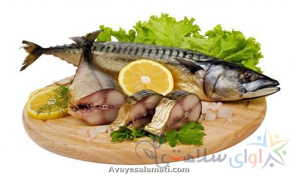 ماهی از نظر طب سنتی