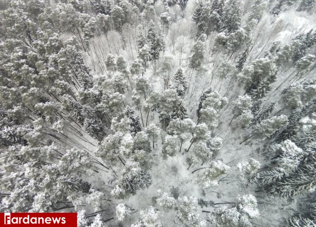 عکس/ زیباترین تصاویر هوایی از زمستان