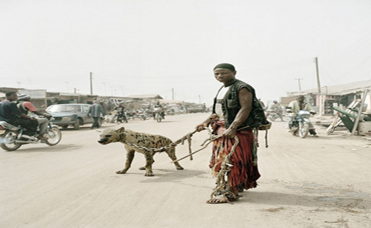 با حیوانات خانگی آفریقا آشنا شوید+ تصاویر