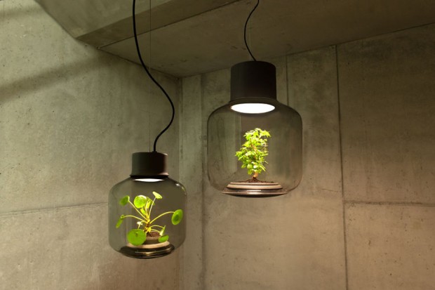 4گوشه دنیا/ تولید لامپ‌هایی جالب برای کشت گیاهان در فضاهای تاریک 