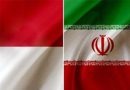 اندونزی: امید زیادی برای همکاری با ایران در زمینه گاز مایع وجود دارد