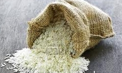 خبرگزاری فارس: تخلیه بار برنج آمریکایی در بندر چابهار