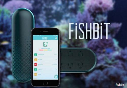 نگاه نزدیک/ Fishbit ابزار هوشمند برای مانیتور کردن آکواریوم از هزاران کیلومتر دورتر