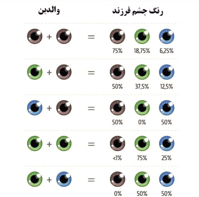 چشم شما چه رنگی است