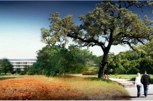 once-the-campus-is-finished-80-of-the-site-will-be-green-space-w600